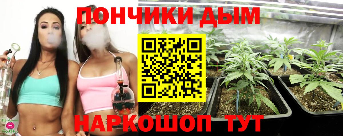 Бошки Шишки гибрид Сочи